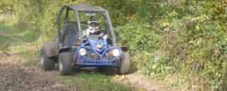 Paseo en buggy por el bosque